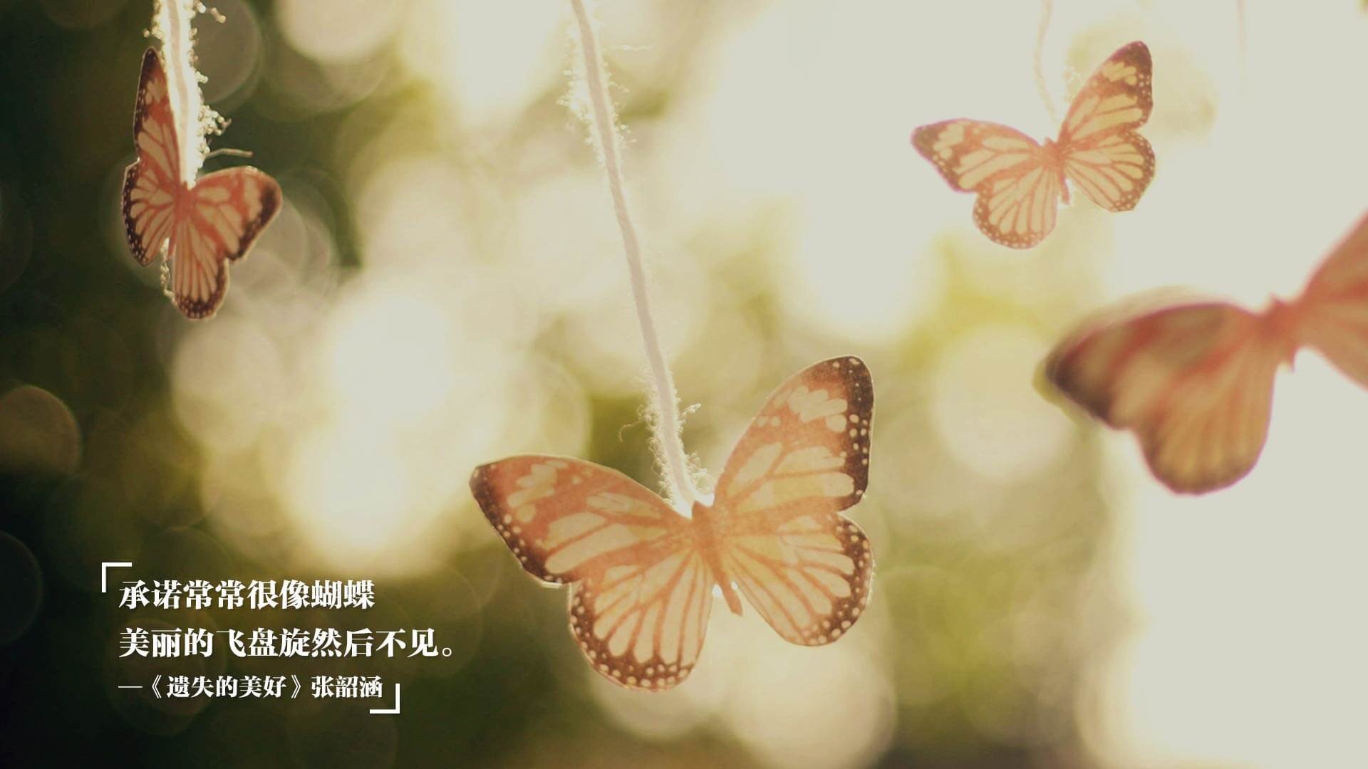 “意甲激战持续,传统强队展现统治力”,意甲体系