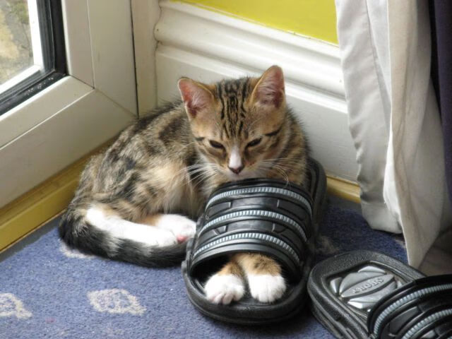 “球迷热议:你认为最精彩的比赛是哪场?”,世界上最精彩的球赛