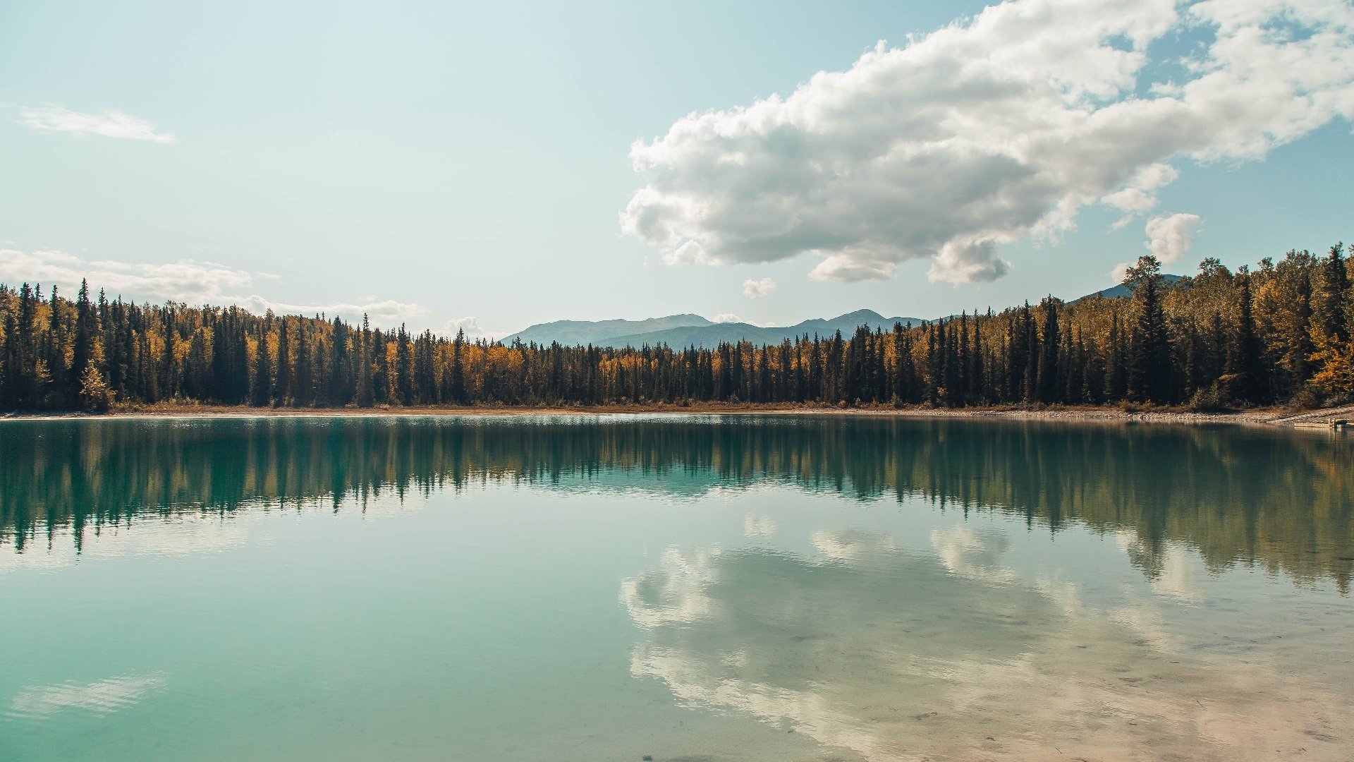 全国青少年篮球技能大赛为新一代球员打开领跑之门，2020全国青少年篮球锦标赛