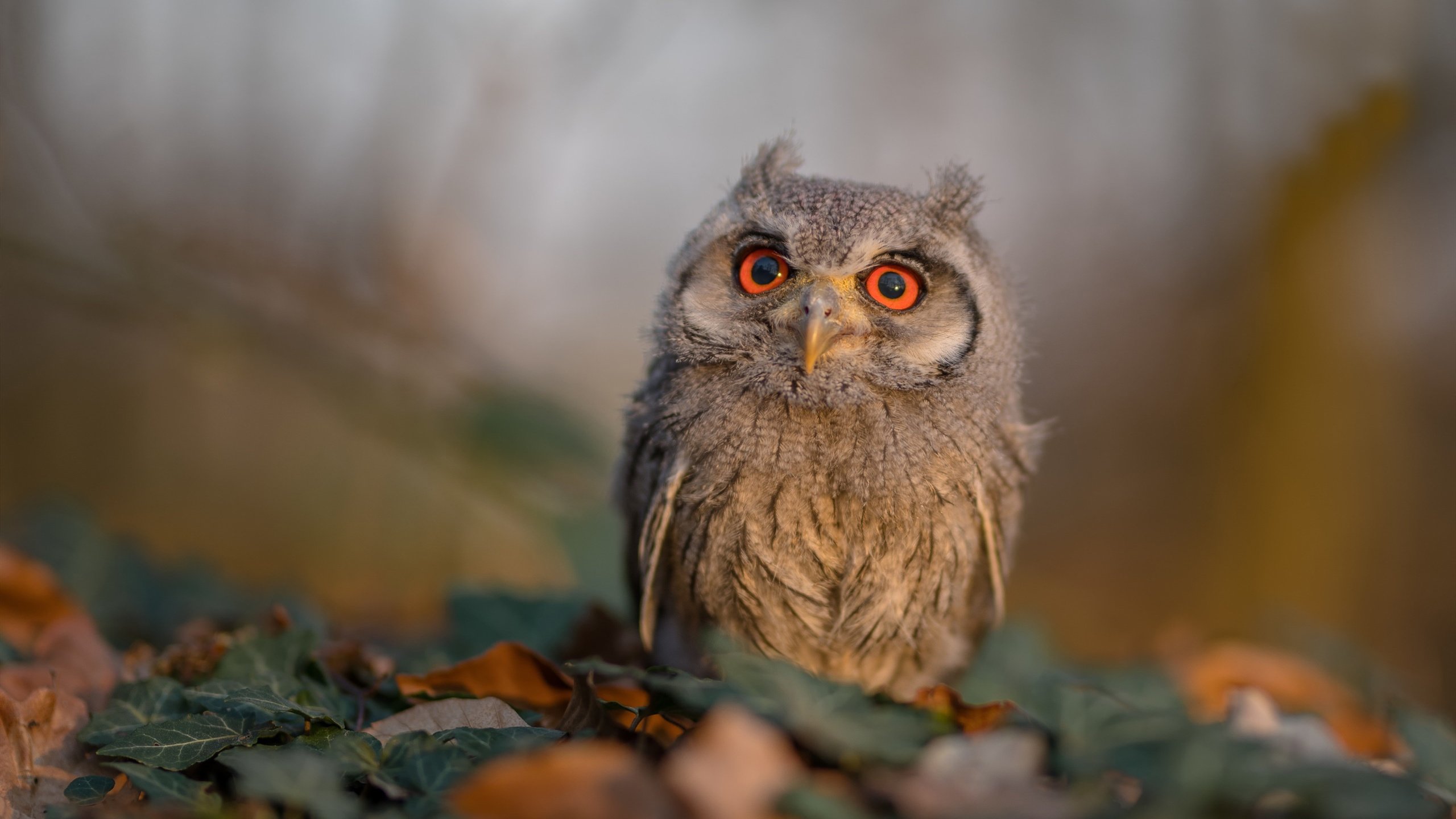 【AI预测对手战术】提前布局，赢在战术前沿！，ai预测技术