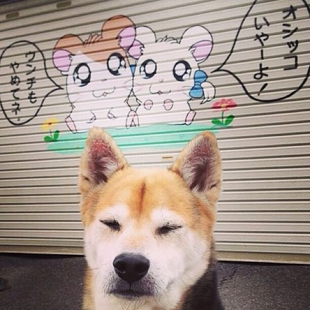 九游下载官网-全国青少年“科技篮球”创新创业大赛在杭州盛大举行，推动行业革新