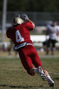 九游(jiuyou)官方网站-校园足球支持学生裁判项目拓展多元职业通路，普通高校足球专业学生裁判能力的培养